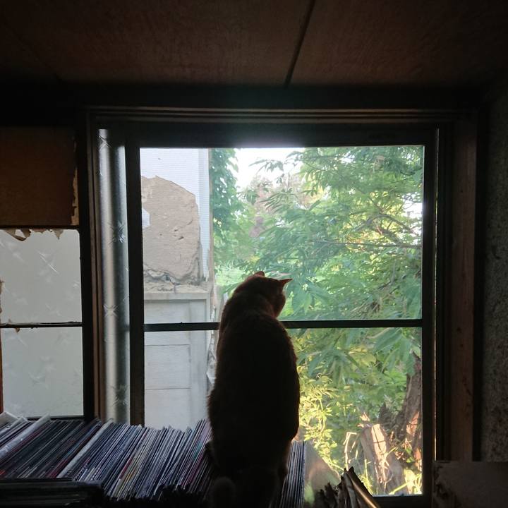 6864f41d 0d12 4c97 bb8a 251467e02913 1656799834509