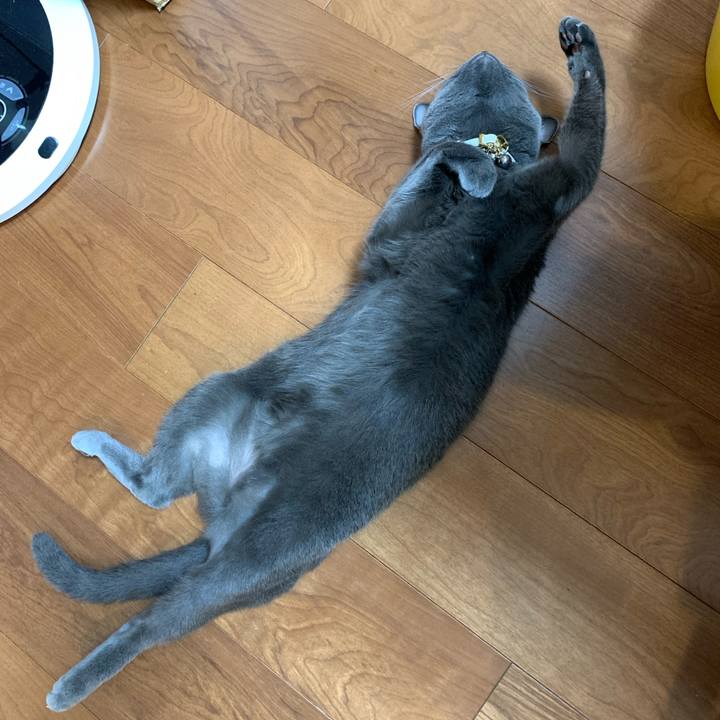 6864fd46 d8f9 431a 978a 0ab69a94943f 1633935599251