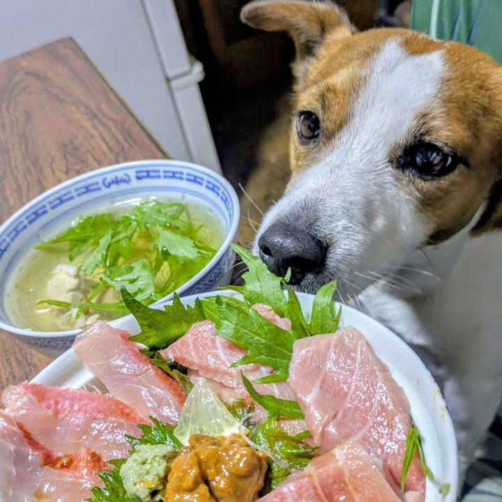 68650ac4 7b2e 4e71 a78c deb4bbfe52ec 1768711788735