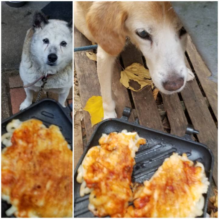 68652b1c 1580 4818 927b 09e131b5cb1c 1751074177942