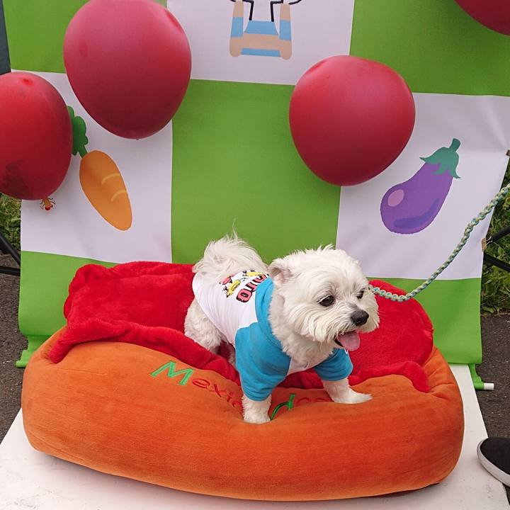 686537be 39bd 4834 8d0f 3075bdcfbc2f 1650196823994