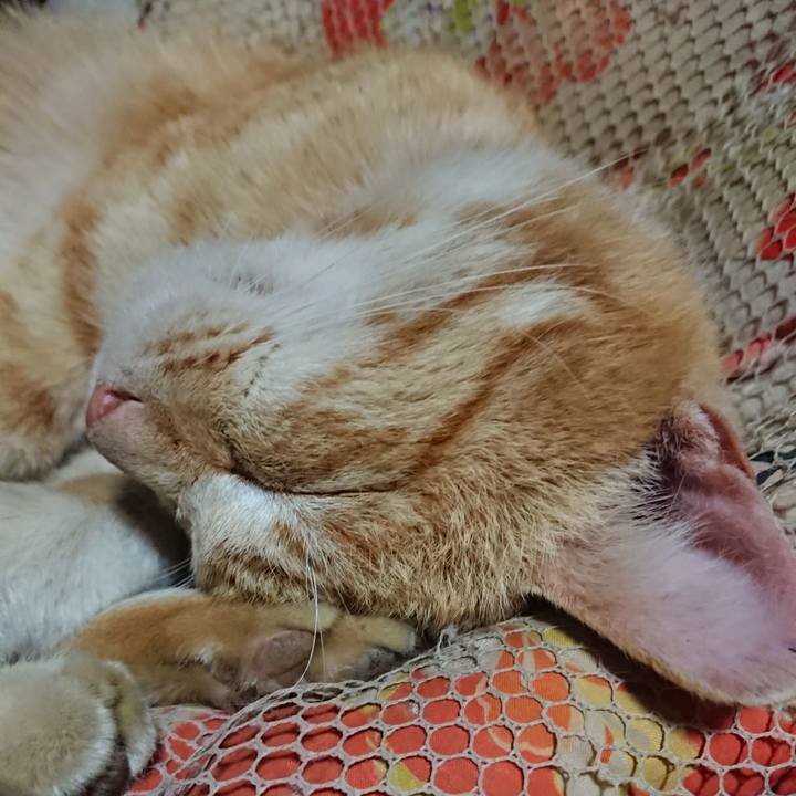 68655706 3f39 4b8d acf8 8a8d6e5c1311 1555936805655