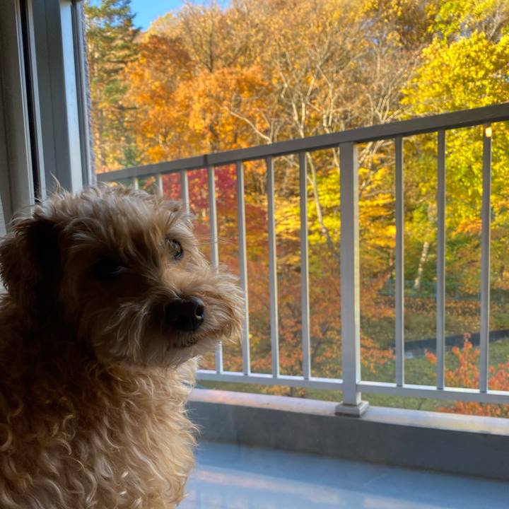 68656839 9a2e 493a aeae 1c85c3fddc60 1666995453571