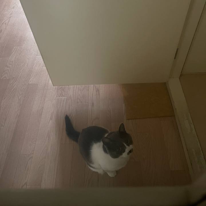 686573dd 5c37 45f4 af96 06cf56c1e692 1680690390285