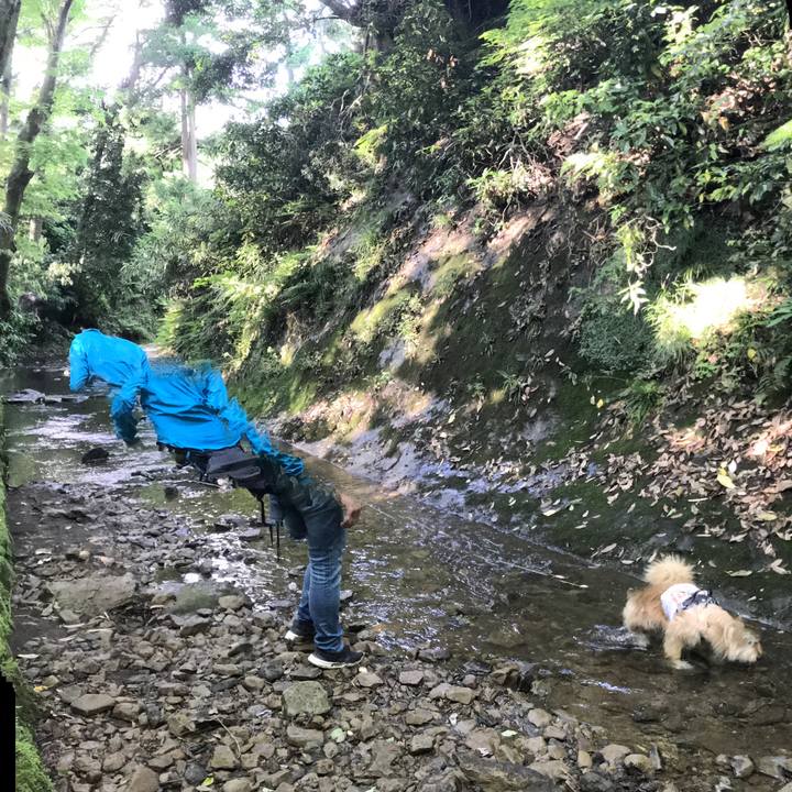 6865863a fb3c 4c4f 9d3b b4be22bfb9e8 1655283982370