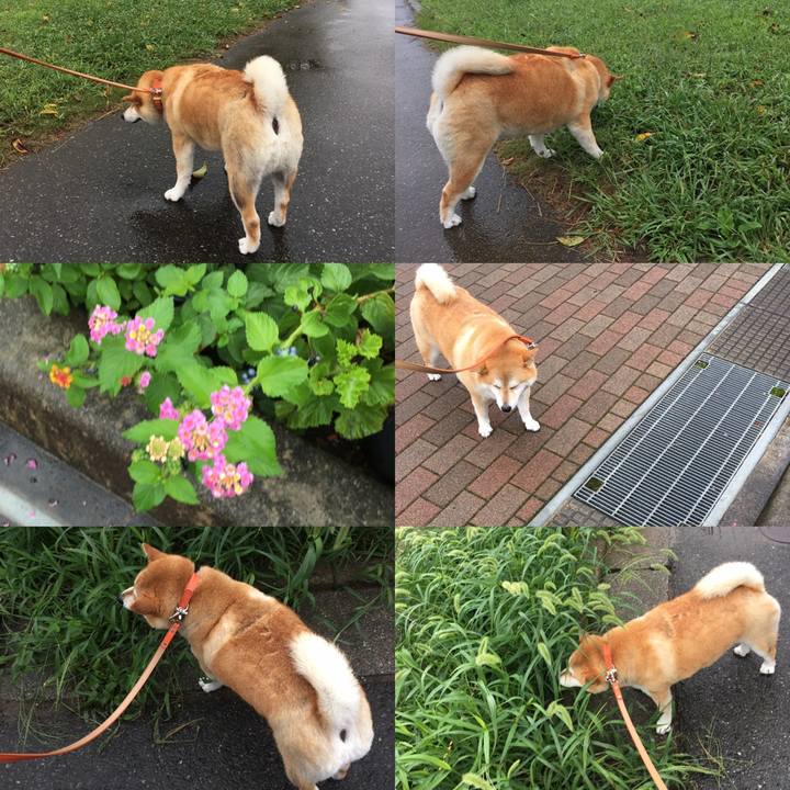 6865a9ee fc55 44fd 815d bf1bbd96703b 1600996983844