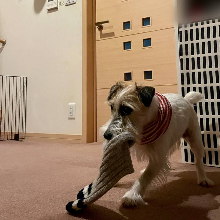 6865e0d1 7515 418a 9dee 459bc770f032 1670499353311