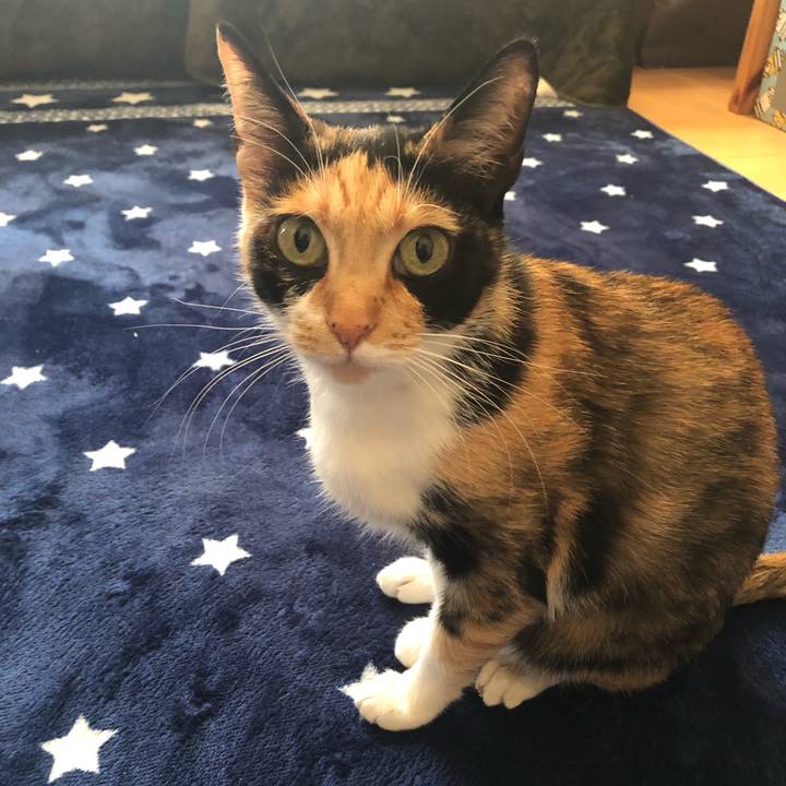 68661382 b0fd 4ac7 930e a621616f9dd9 1557221789965