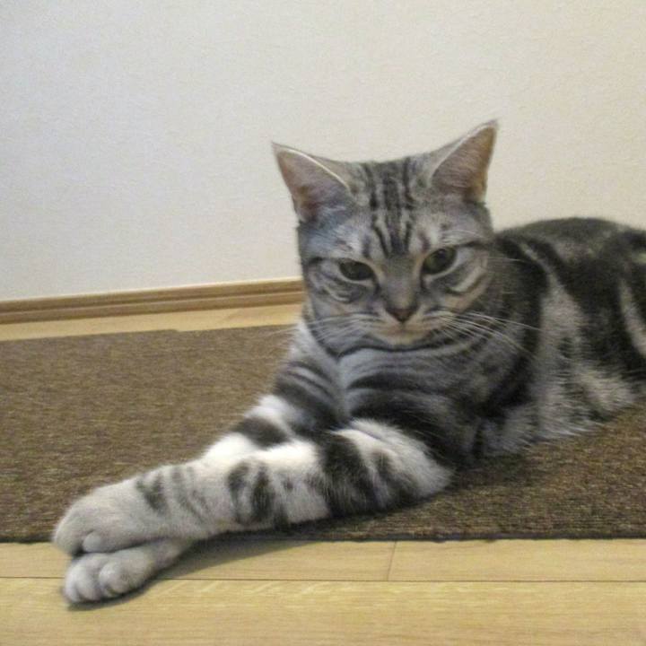 6866283e 03e9 46c2 817f 264cd88949c3 1571477703526