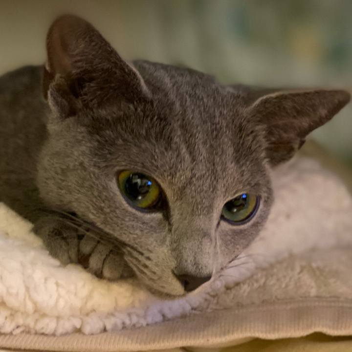 68664a4c 0af0 47c6 9db6 5a0450a15fe9 1604749298396