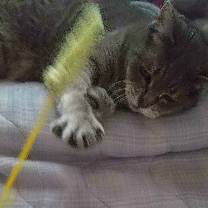 68665035 9629 49b2 bae8 463f08acbbe2 1620183365206