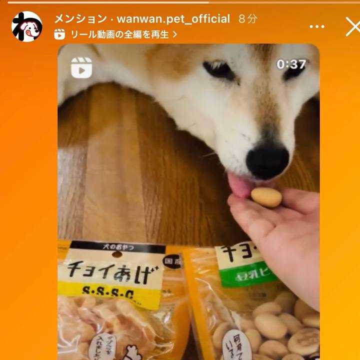 686650b5 1b13 44db af42 31df11deb7f1 1726711395390