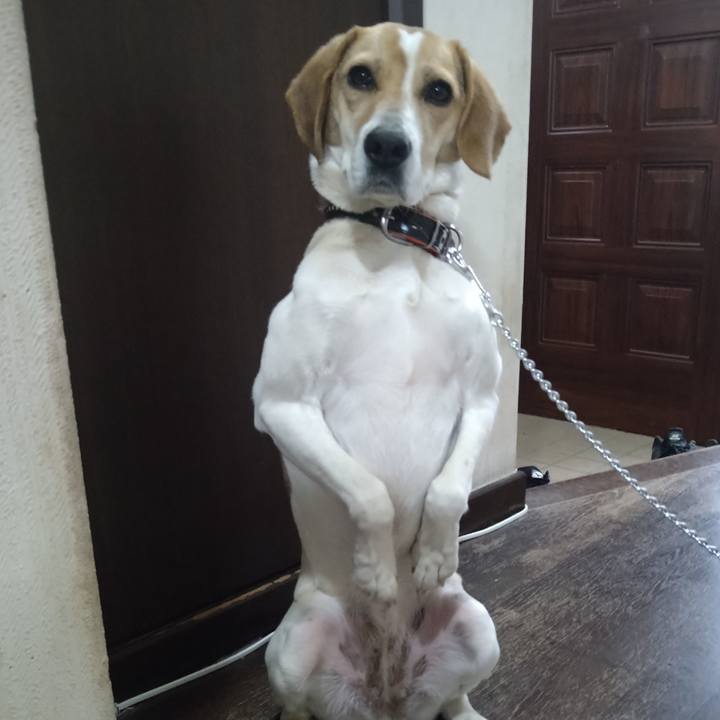 68666a47 dcad 4f2a 8b4b 4bc18545d511 1618216806362