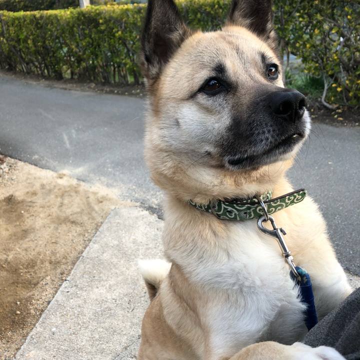 6866ab5e bf53 4f98 a887 27debc473ac4 1615463206798