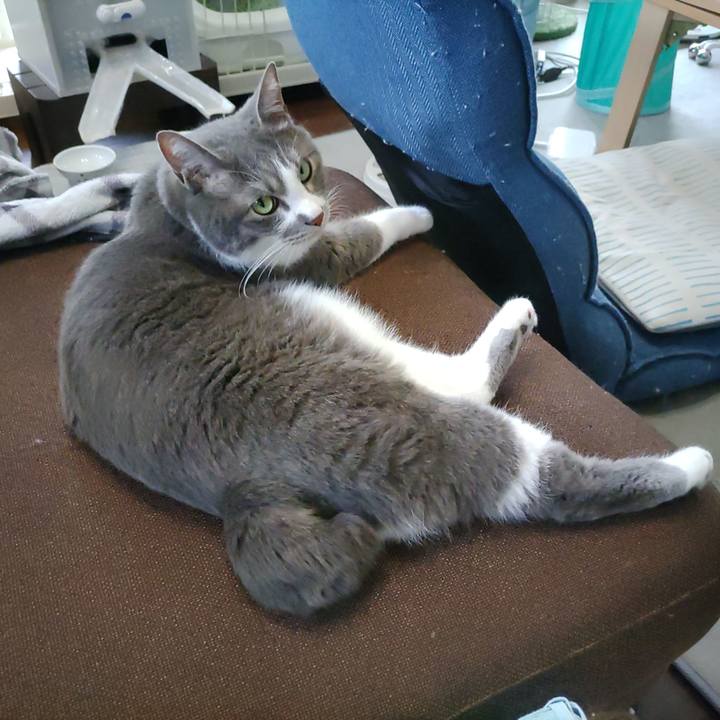 6866e1e4 eff5 445c afab 7a6f9ad72c12 1716270689719