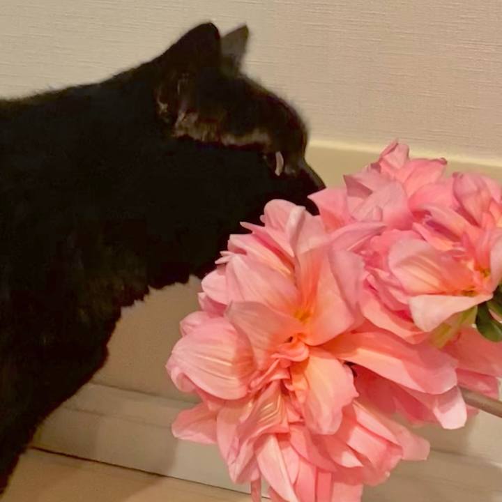 6866ee11 7a91 46a8 bb42 1dadce9ade7e 1772368127492