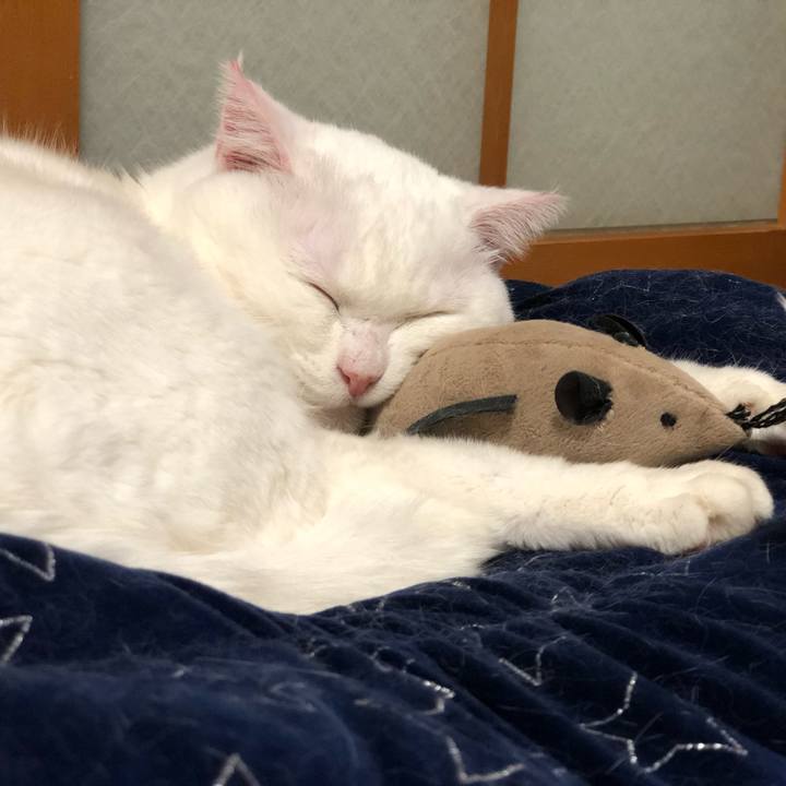 68672f62 296e 48af 82ef 78af76082d78 1575200096514