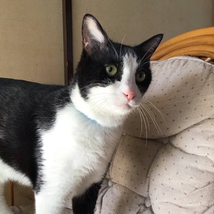 68675ca0 a41e 46e2 ae0b 0fc5a08e3f7c 1755769235727