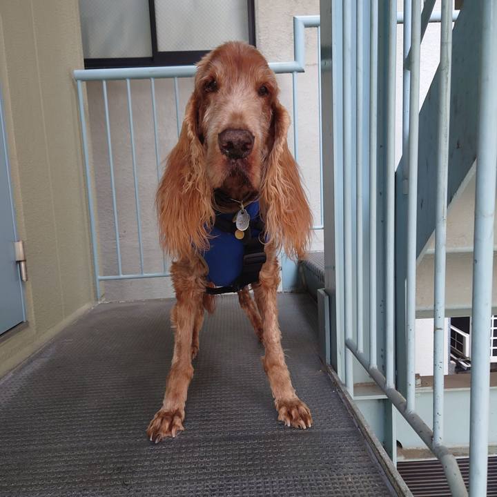 686768ee e77e 4bfc 81f7 41fd5f96486d 1712915317714