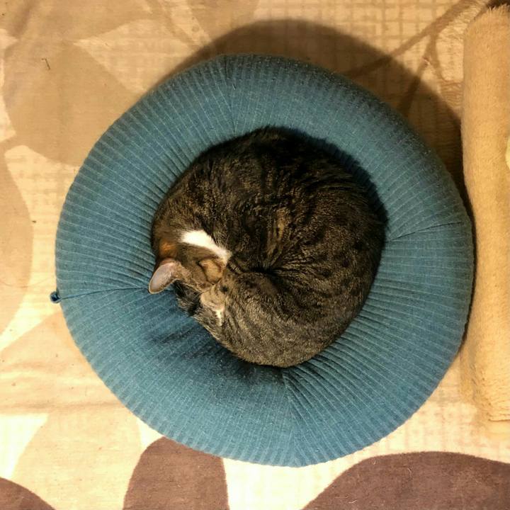 686772c7 4019 4052 b73f 0707d03fd2dc 1636419714116