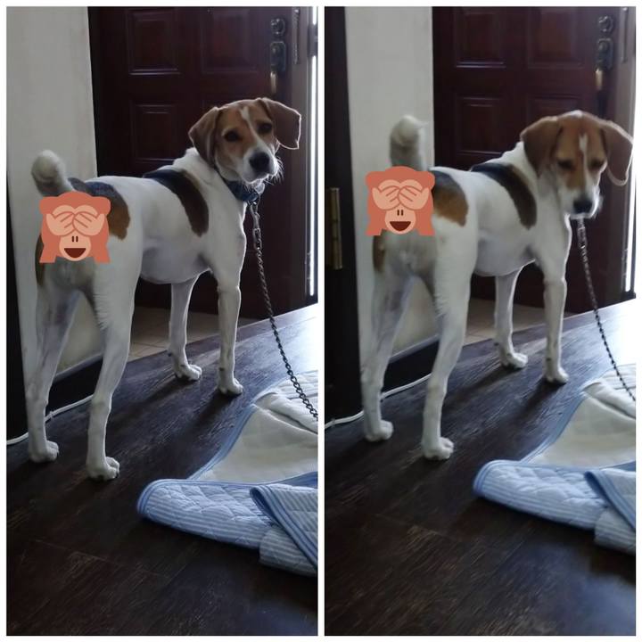 68678560 b73d 4674 b3d1 11cabf1b6474 1604901242854