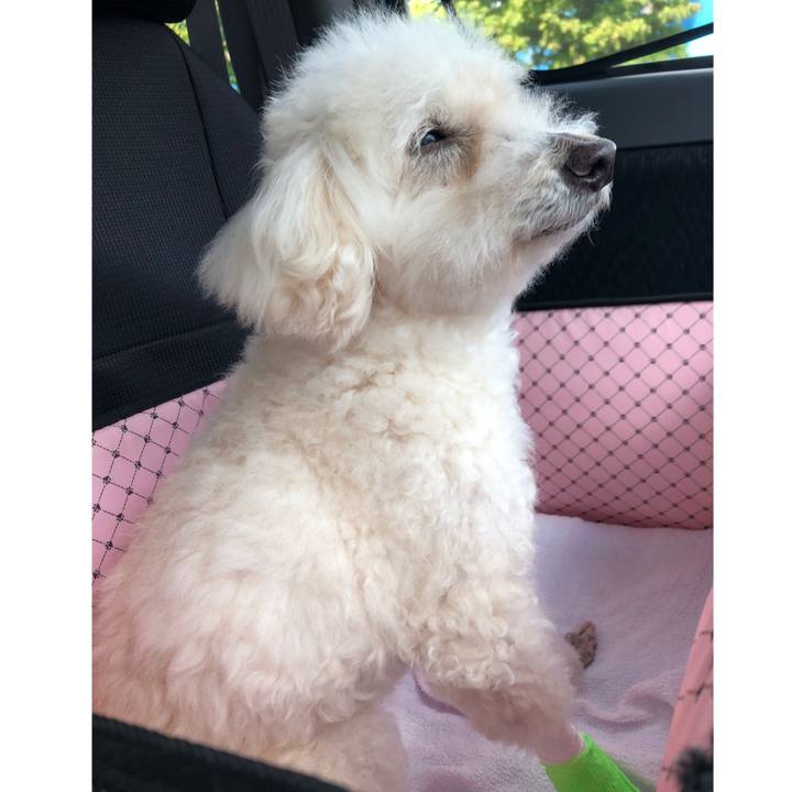 6867ca76 08af 4a39 b7be 83d3f14c9d64 1558154276085