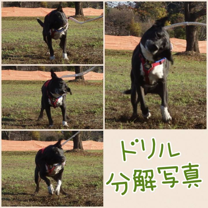 6867d2cc 3664 4505 9088 4904d0623092 1668043441124