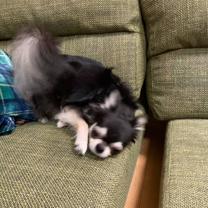 6867e273 d22d 4801 94ae 22fc2c2917f7 1661090850570