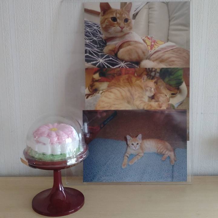 686801a7 65f4 4251 a3d2 4b8a9889ebff 1745131199564