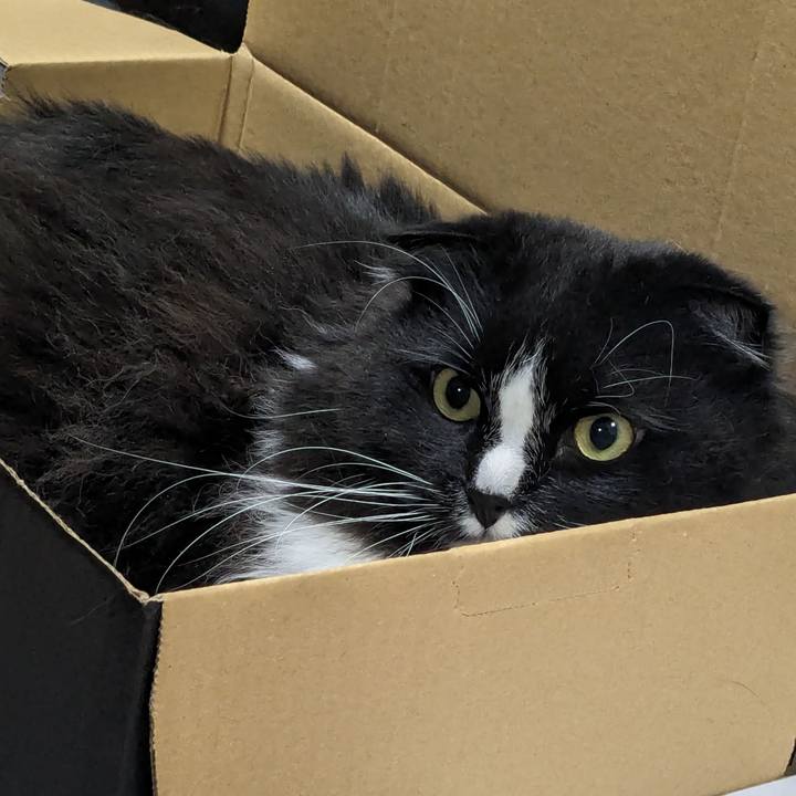 68680586 1c1b 4d7f bdd8 5334c59ab396 1715510454327