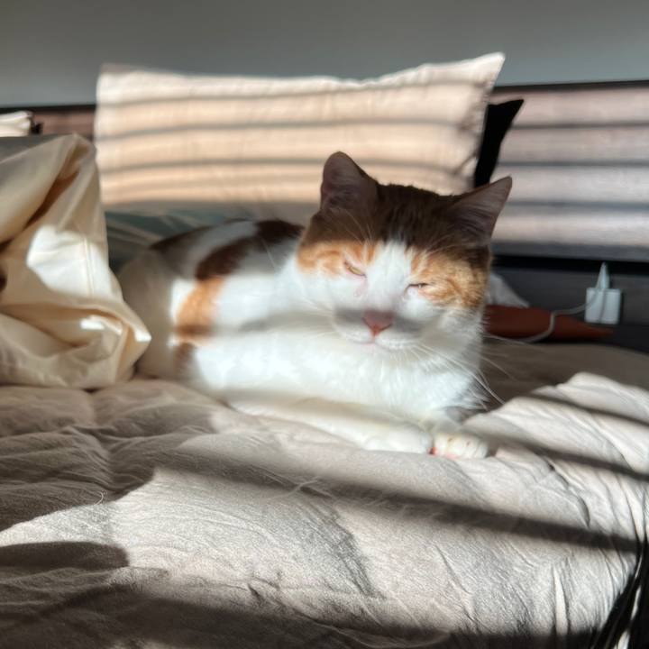 68682457 6d51 4282 be79 ec34bbd06aa3 1761951440042