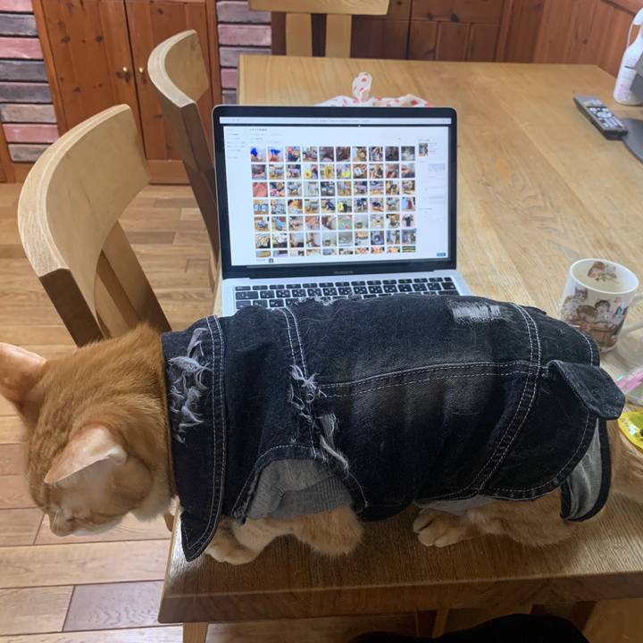 68684b99 5a4b 4628 9abf 00b7d40e0b29 1643874146706