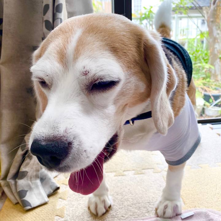 686868d6 a681 4274 b8c0 de2deeaac6c4 1590982929743