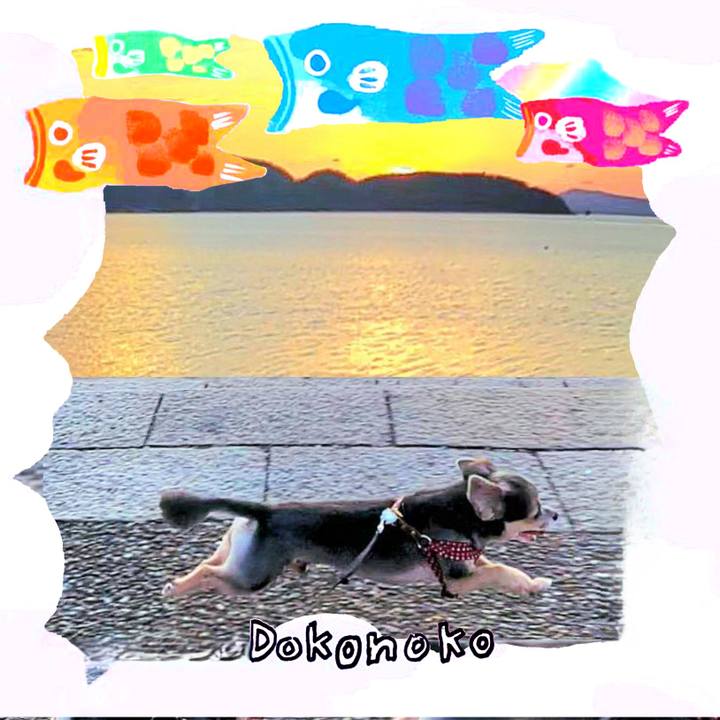 68687f08 1eb1 4aa6 aeb4 cc6510ad83be 1749724727196