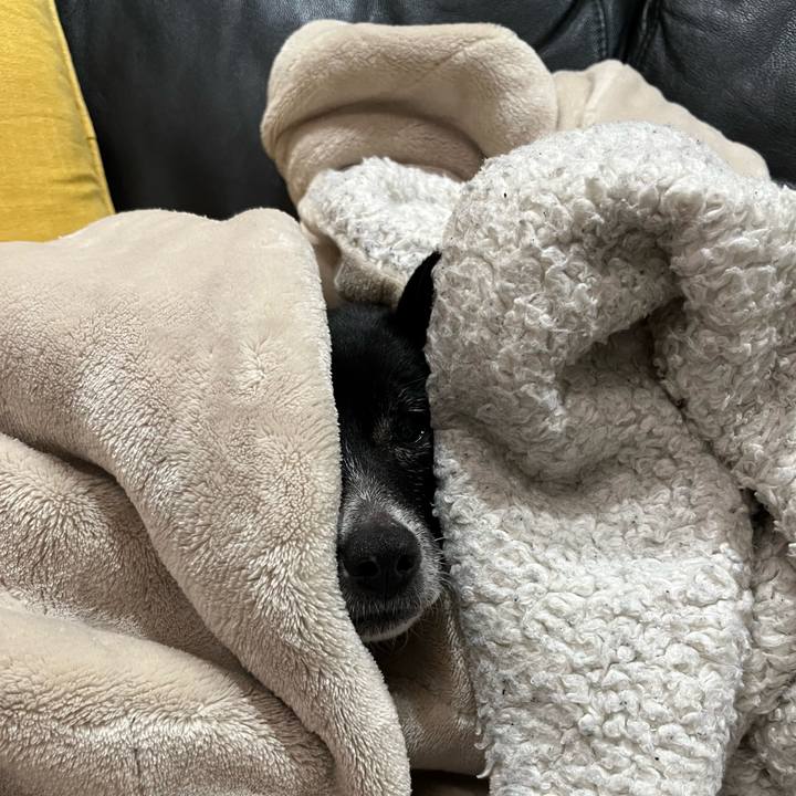 68688113 6920 4c2c 9786 2e744196e87a 1708948223578