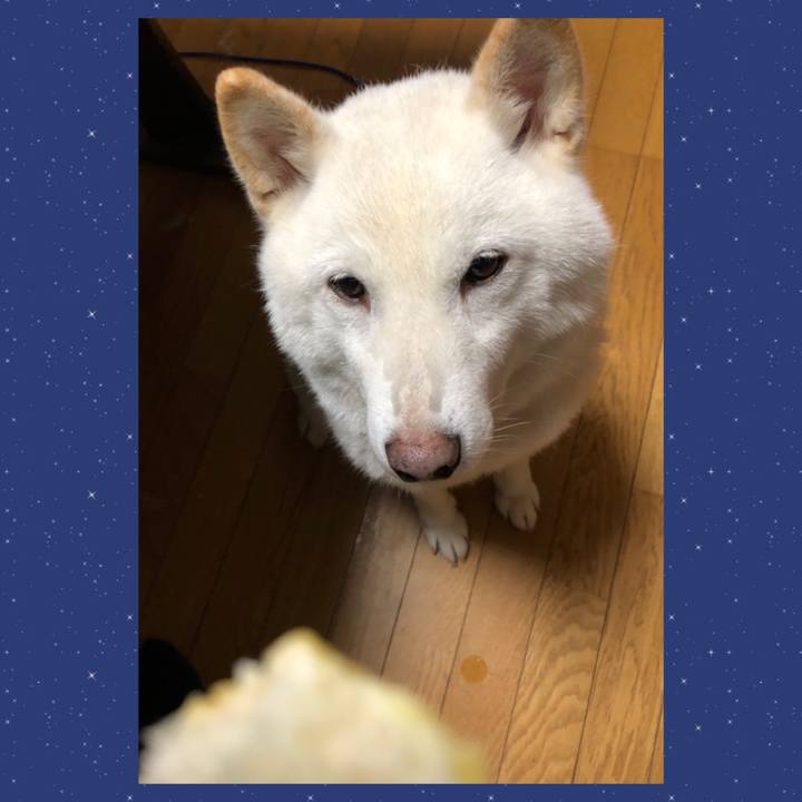 68688f1c 06a5 4056 9eed ec74770af32f 1636621321837