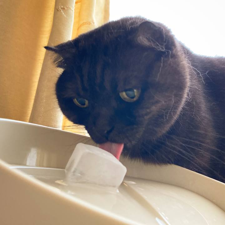 6868a47f e1bb 4344 9bf6 f65029a54e02 1626861105466