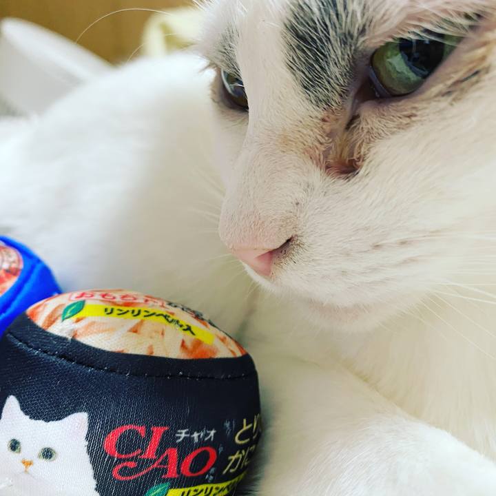 6868b197 e829 4410 8974 7a43a366e8cd 1608827737840