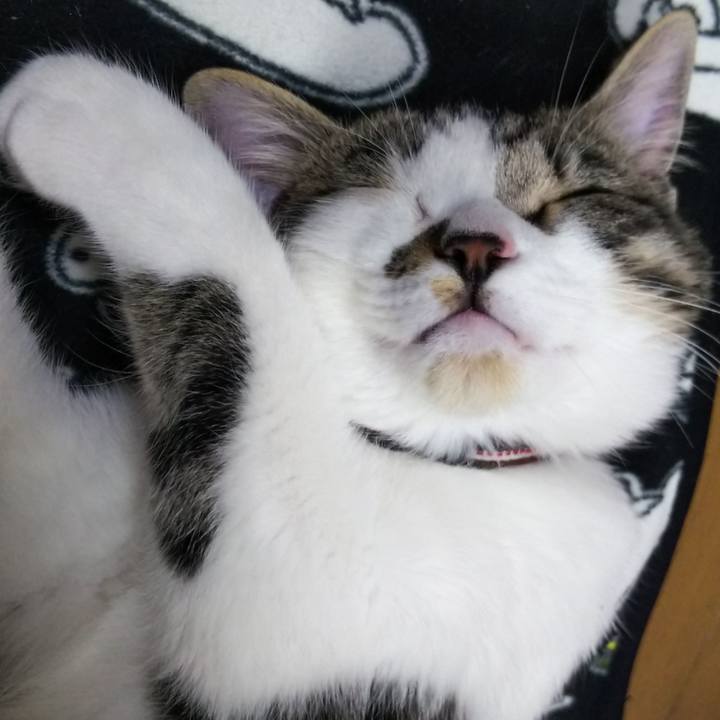 6868d50c ca31 4115 b326 6605016a1372 1615981958858