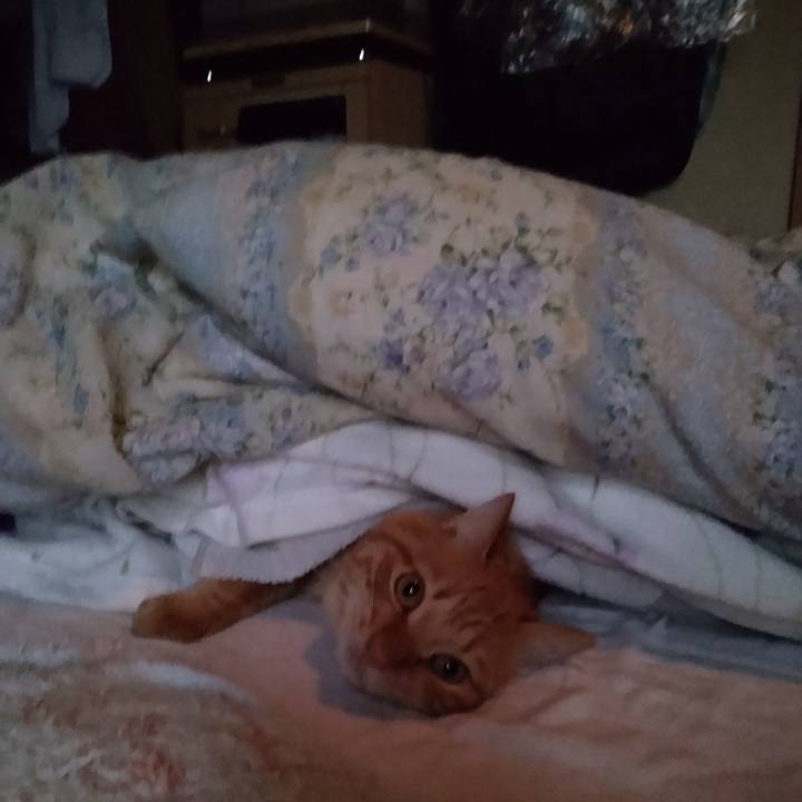 6868eace 1a26 41f1 a51f fab43181bece 1666822025292