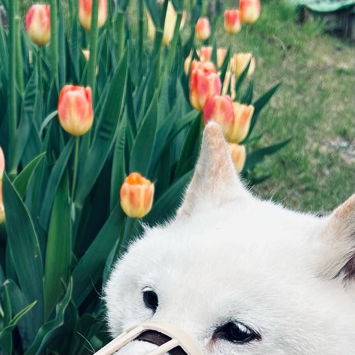 6868eb71 8de2 4a1b 8525 ae0f586df114 1748645153059