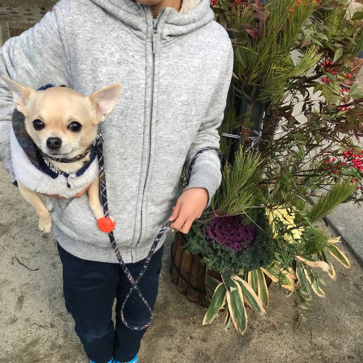 6869077f 689e 485d b1ef 3be761bff88f 1514780018707