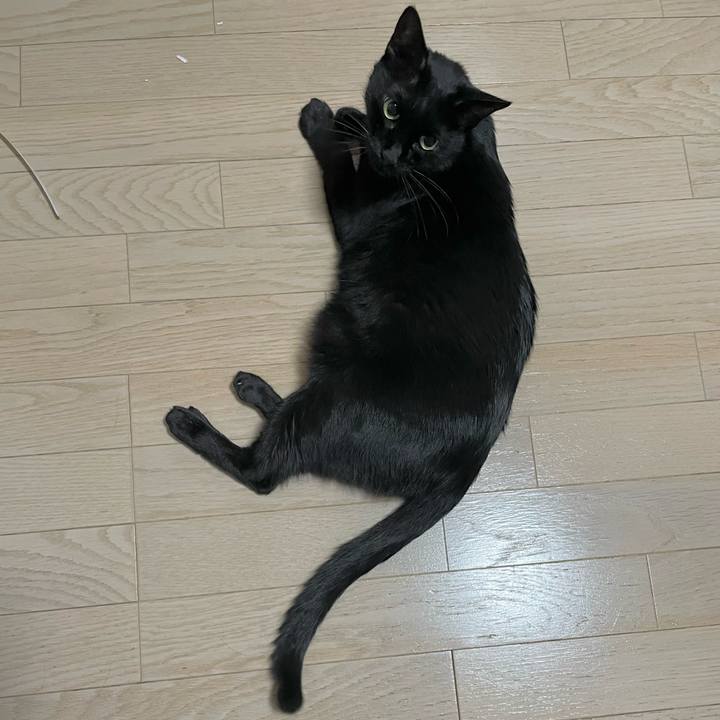 68692d0c 038c 438e 8d91 44e5ad1235ab 1693520406675