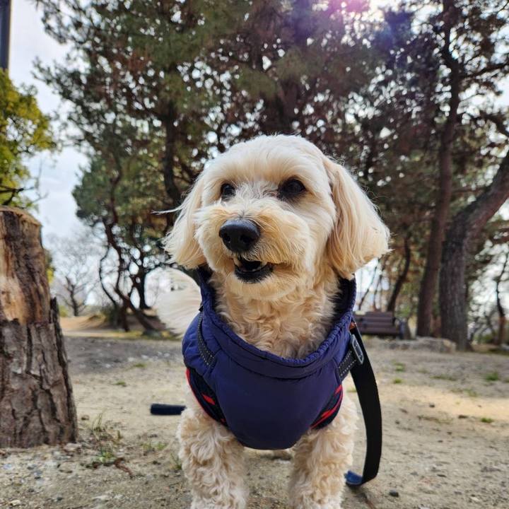 6869331b 5e73 46d5 b8cd c74908d8cd9b 1770353697600