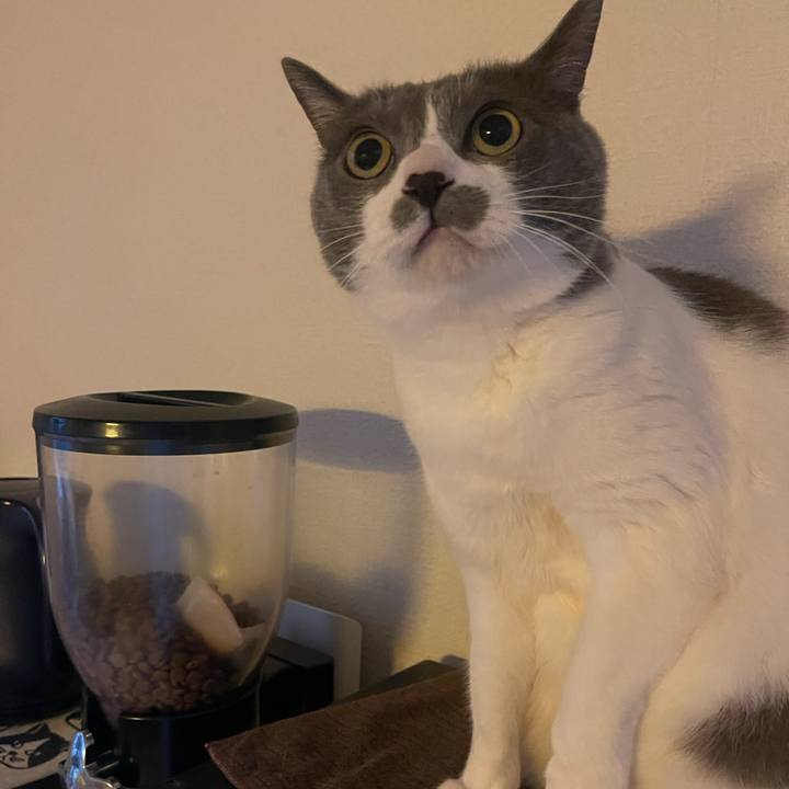 68693728 d1cc 4f22 aba4 156530eb798e 1741732360094