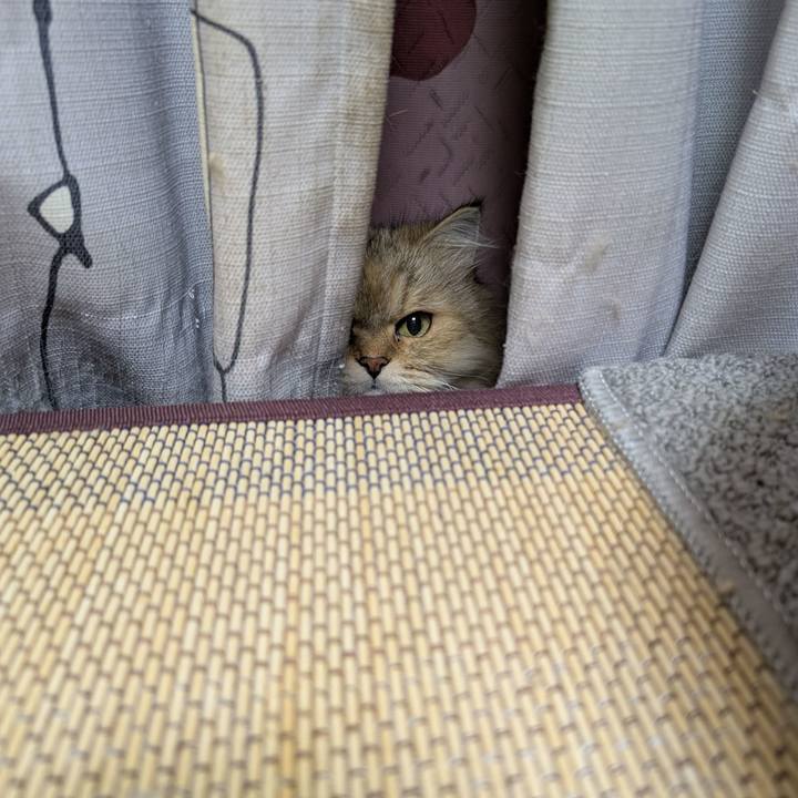 68699c6b cd3f 4d5f 8d74 19815422137a 1760226435369