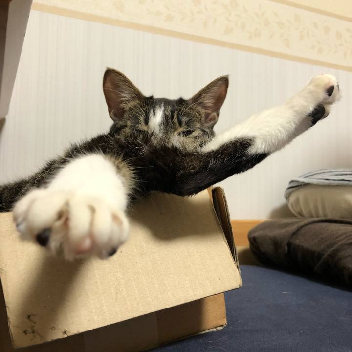 6869cecb 93c1 4176 a07a 7acf5ebe5989 1520828841401