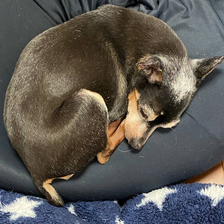 6869e91a a182 4614 88b9 5abfb5a422a9 1587736390124