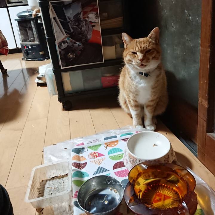 6869f2d3 0f3a 4e8a 97ea 5397c91b1374 1607371122326