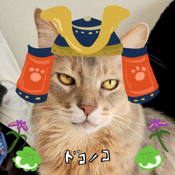 6869f733 0ddc 41f6 b2a4 c499a4d53fad 1714912682409